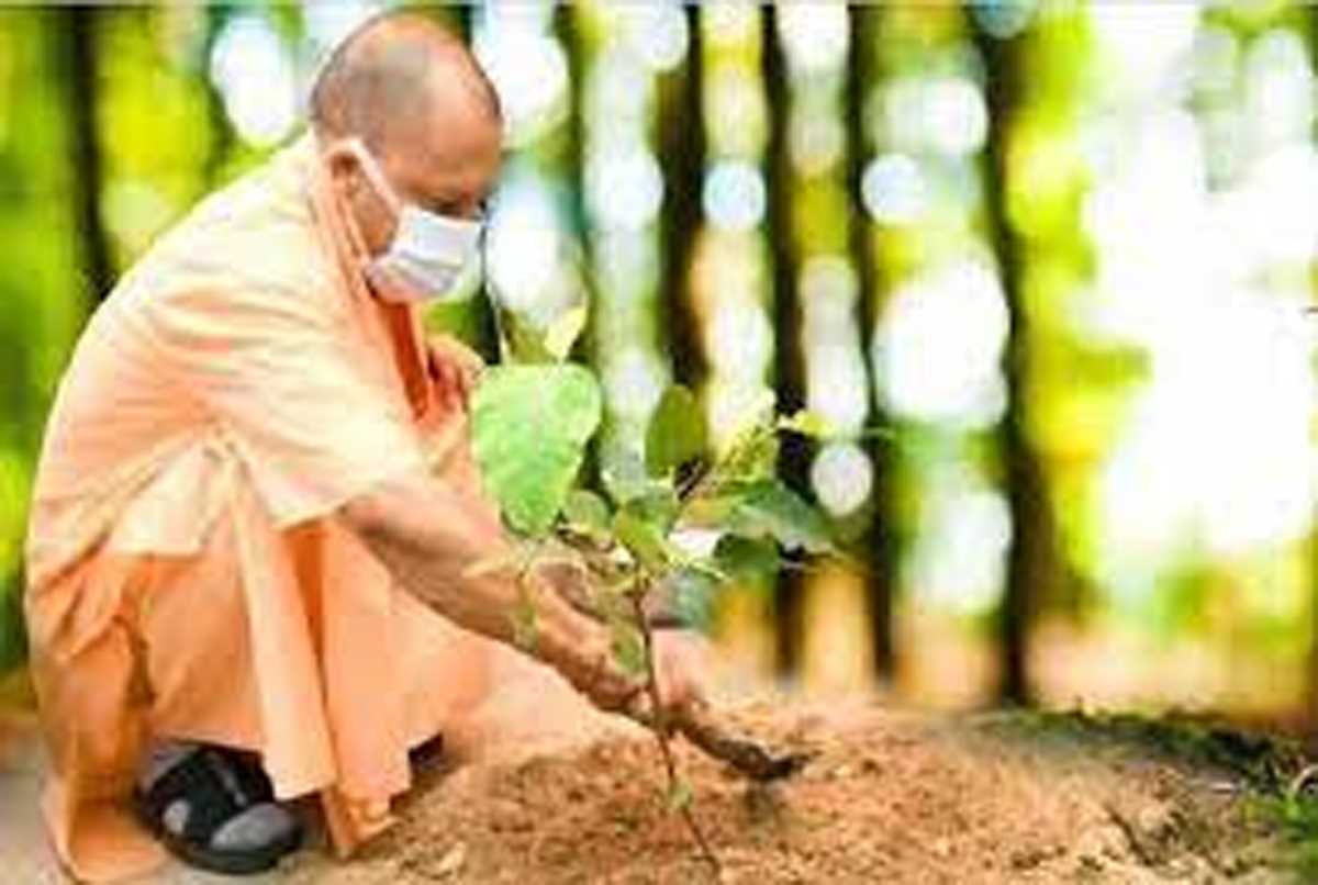 आज 30 करोड़ पौधे लगाएगी योगी सरकार